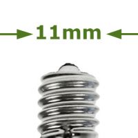 E11/ Minican pygmy bulbs