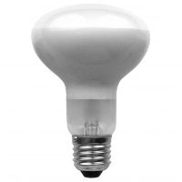R80 spot bulbs have a diameter of 80mm
