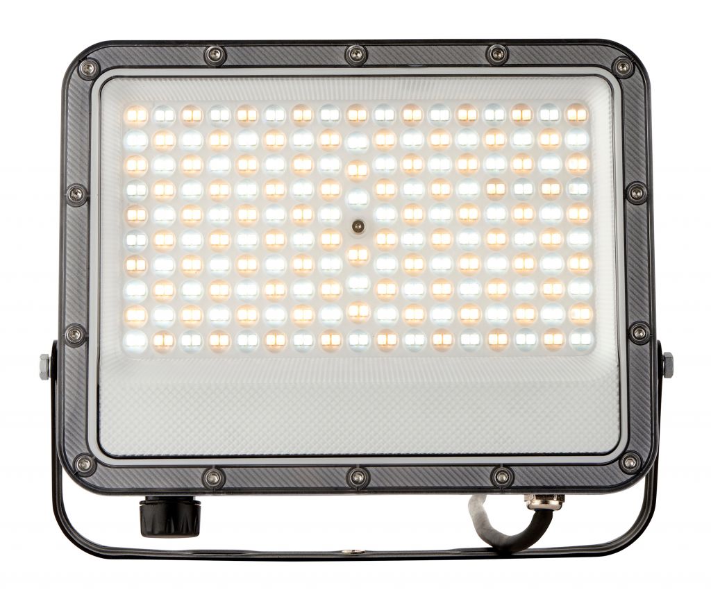 Outdoor Light Black Fortis 100w CCT LED Floodlight IP65 12000lm 3000K 4000K