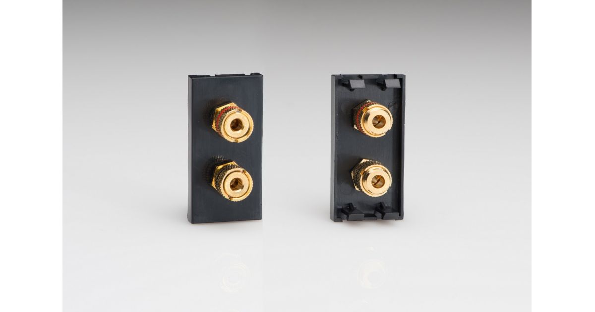 DSP2B: Speaker Module, 2 Gold Plated Banana Or Cable Binding